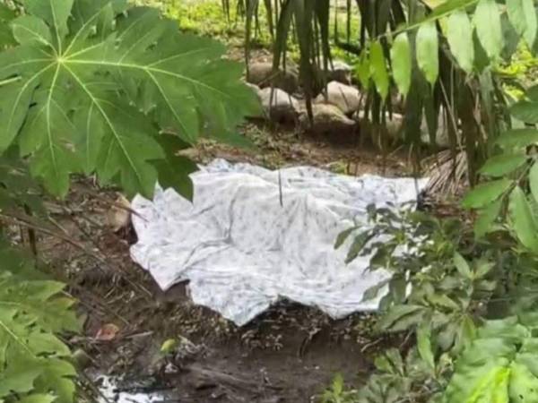 En la colonia 6 de mayo de la aldea La Gran Villa en Baracoa fue descubierto el cuerpo sin vida de una mujer, por lo que los pobladores alertaron a la Policía.