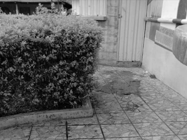 Uno de los dos hombres cayó muerto en uno de los paseos del parque municipal de Orica. Al levantarlo quedaron las huellas de la sangre que emanó.