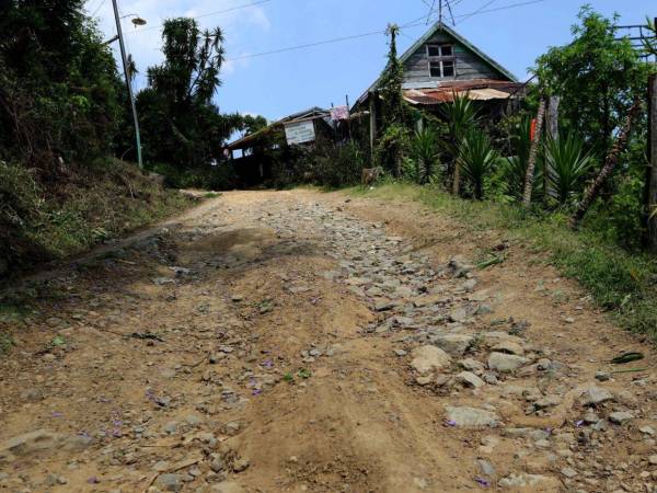 Pobladores de San Juancito solicitan pavimentación y mejoras viales a la SIT, como la calle que conecta de San Juancito al Parque Nacional La Tigra, buscando facilitar el acceso y atraer más visitantes a este destino con riqueza natural e histórica.