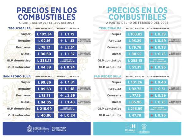 En ambas tablas con las estructuras emitidas por la Secretaría de Energía se pueden apreciar las variaciones a los carburantes en fechas similares que abarcan hasta mediados de febrero de 2026 y 2025.
