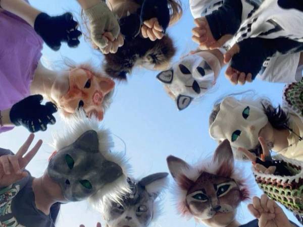 Entre los conceptos más utilizados destacan los términos 'teriotipo', 'otherkin' y 'shifting', que permiten comprender cómo se perciben a sí mismos sus integrantes.