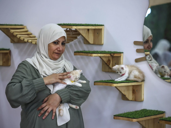 Palestinos se reúnen para la inauguración de Meow Cafe en la ciudad de Gaza. Foto: Fatima Shbair.
