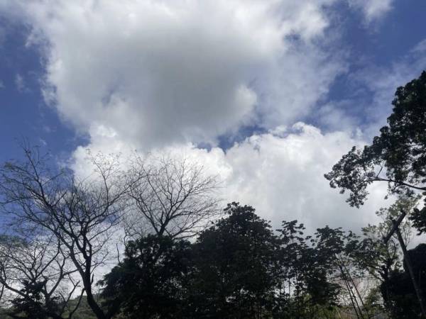 En gran parte del territorio hondureño prevalecerán las condiciones secas.