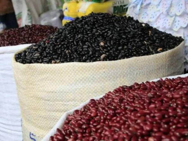 La medida de frijoles registra una diferencia de precios entre 6 y 25 lempiras en la feria del Agricultor y el Artesano y el mercado Zonal Belén.