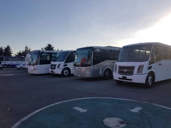 La capacidad de los buses es entre 35, 48 y 60 pasajeros.