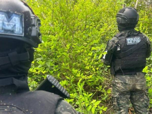 Los efectivos militares custodiaron al cultivo de hoja de coca para luego erradicarlo.