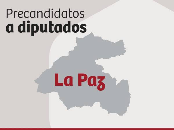 La mayoría de precandidatos a diputados en el departamento de La Paz pertenecen al Partido Libre, según los registros del CNE.
