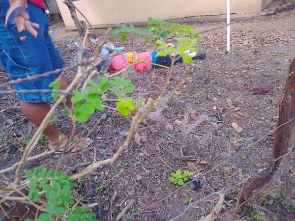 Hasta el momento se desconocen las causas que originaron el ataque, así como el paradero del o los responsables del crimen.