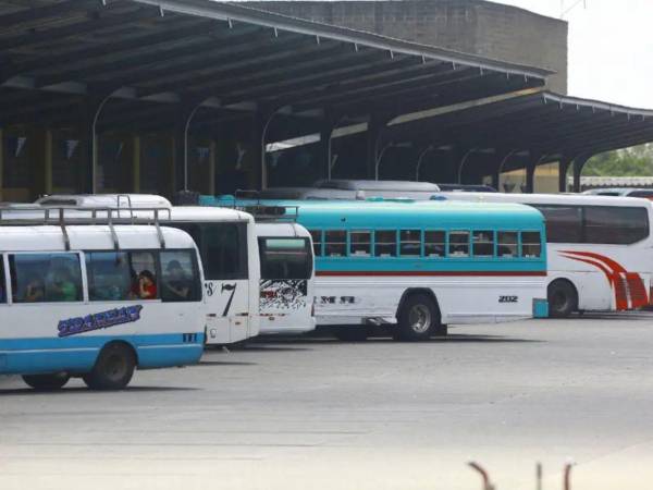 Autoridades reiteraron que no hay autorización para subir el pasaje, pese a presiones del sector transporte por el alza en combustibles.