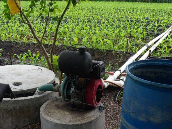 Las autoridades de la Secretaría de Agricultura y Ganadería (SAG) buscan rehabilitar los distritos de riego para fortalecer la producción agrícola en varias regiones del territorio nacional.