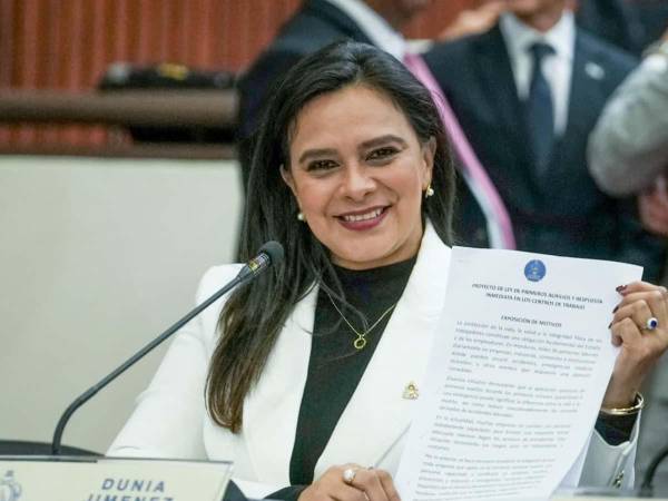 Diputada Dunia Jiménez realizó la propuesta.