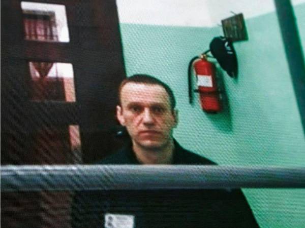 El líder opositor ruso Alexei Navalni murió envenenado con una toxina letal, presente en ranas venenosas dardas de América del Sur, informaron en un comunicado conjunto el Reino Unido, Suecia, Francia, Alemania y Países Bajos. Eso dicen los resultados: