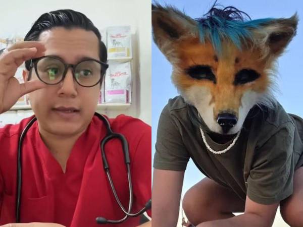 Los “Therian” se han popularizado en las plataformas digitales, ya que se trata de personas que se identifican como animales. Aquí le contamos la experiencia que tuvo un veterinario al atender a un paciente con esta identificación.