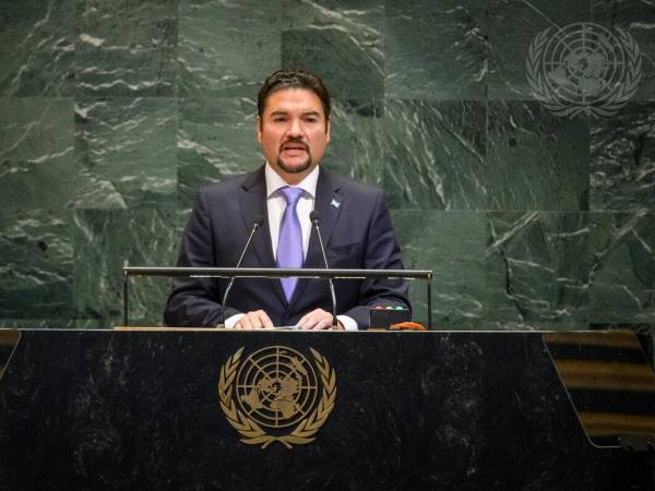 En su comparecencia ante la ONU, el canciller de Honduras destacó logros del gobierno de Xiomara Castro y llamó a elecciones libres.