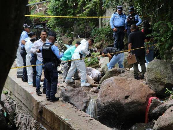 Con varias heridas provocadas con un puñal fue encontrado el cuerpo de 'Mechita', quien, según la primera información, salió el sábado 27 de septiembre por la tarde para el festival capitalino, pero fue encontrado en la mañana muerto. ¿Qué se sabe sobre este crimen?