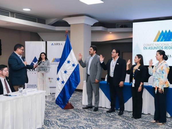 Un grupo de especialistas de distintas instituciones fue integrado por la ARSA para reforzar la capacidad regulatoria del país .