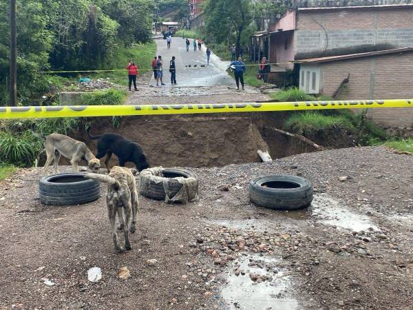 El ministro Octavio Pineda y el alcalde Jorge Aldana prometieron obras inmediatas para restablecer el paso entre las colonias afectadas del sur capitalino.