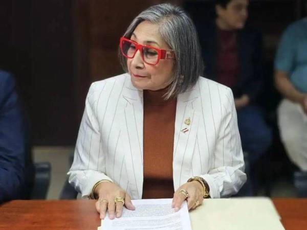 El PLH es el verdadero balance entre la derecha y el desquiciado socialismo del siglo XXI, aseguró la diputada liberalista.