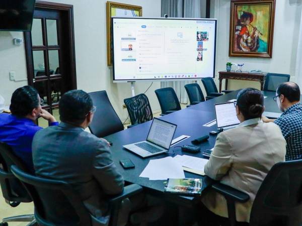 El Consejo de Ministros se realizó de forma virtual.