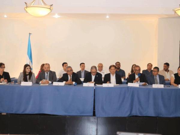 Poner a la sociedad civil sería una buena opción, ya que hay crisis por intereses partidarios en los escrutinios especiales, aseguraron.