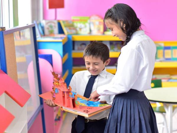 El proyecto de Bibliotecas Blue Lupin comenzó a implementarse en Lempira en el año 2014.