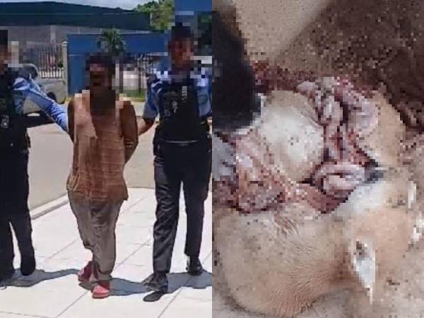 Por maltrato animal, la Policía Nacional capturó a un hombre que fue hallado en flagrancia. Aquí los detalles.