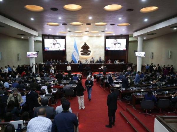 El 21 de enero de 2026, está prevista la primera fase para conformar la Junta Directiva provisional, que luego dará paso a la instalación de la Junta Directiva en propiedad.