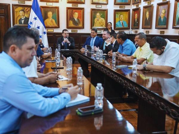 Productores de palma expusieron al Congreso Nacional las principales dificultades que enfrenta el sector.