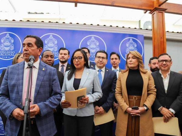 El Consejo Nacional Electoral (CNE) recibió más de 100 autopostulaciones para integrar tanto el CNE como el Tribunal de Justicia Electoral (TJE).