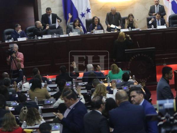 Reformas a la ENEE esperan contrapropuesta del Partido Liberal tras regreso de diputados.