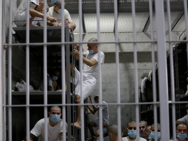 Al menos un año tardó el proceso de ingreso, pero se logró. La Unidad Investigativa de EL HERALDO Plus ingresó al Centro de Confinamiento del Terrorismo (Cecot), ubicada en el municipio de Tecoluca en el departamento de San Vicente, El Salvador. EL HERALDO Plus realizó un recorrido en una de las cárceles más grandes del mundo. Aquí las imágenes de cómo luce este establecimiento y cuál es el proceso para ingresar.