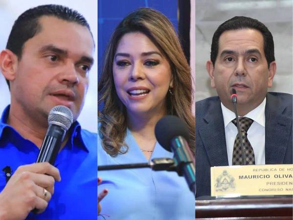 La diputada Gladis López se encontraba brindando declaraciones a la prensa y a punto de ingresar al hemiciclo cuando un artefacto explosivo cayó en su espalda