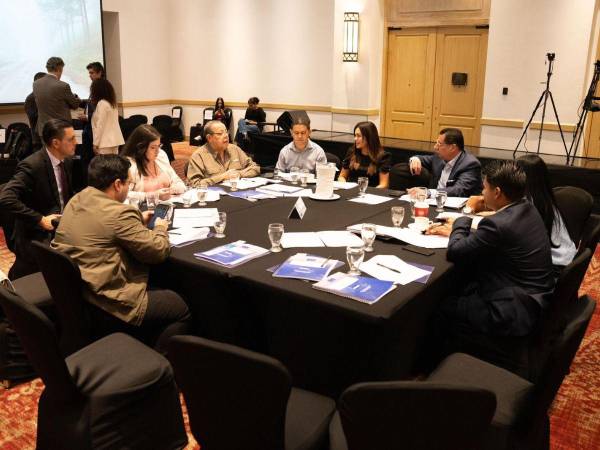 Conversatorio de la Misión de Observación Electoral de la Unión Europea (MOE-UE) sobre desinformacion electoral.