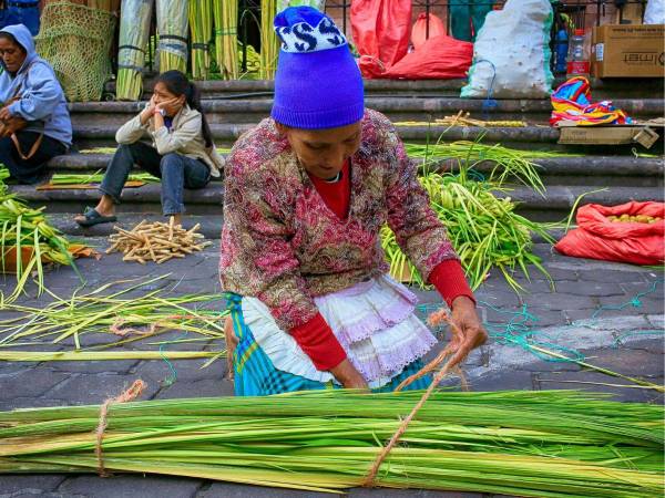 Centenares de campesinos hondureños se concentraron en los accesos de los templos católicos de las principales ciudades del país para ofrecer ramos y cruces de palma que serán bendecidos el Domingo de Ramos, una tradición que marca el inicio de la Semana Santa y aporta ingresos a familias.
