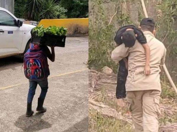 Un accidente en el municipio de Gualala, Santa Bárbara, arrebató la vida de un niño que, a pesar de su corta edad, ya luchaba por ganarse el sustento.