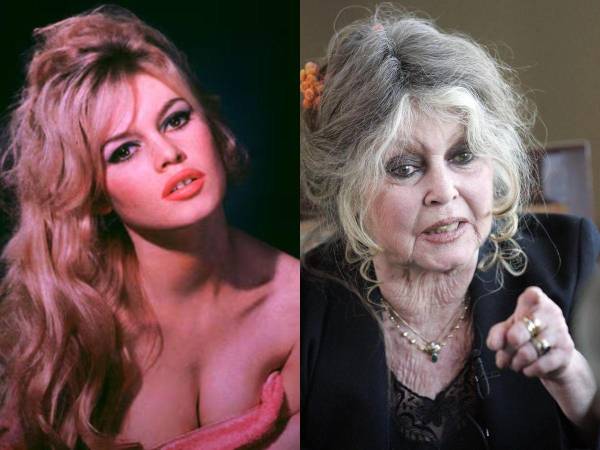 La actriz francesa Brigitte Bardot, fallecida este domingo a los 91 años, dejó una huella marcada por dos etapas claramente definidas: su ascenso como símbolo mundial de sensualidad y rebeldía en el cine, y una segunda vida dedicada casi por completo a la defensa de los animales.