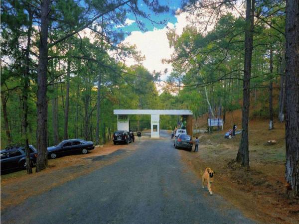 Desde el domingo 29 de marzo, el emblemático Parque Obrero regresó como un destino recreativo seguro y atractivo para familias hondureñas y visitantes. Aquí, las imágenes de la renovación del establecimiento: