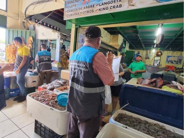 Las instituciones públicas han habilitado líneas de emergencia y denuncia para que la ciudadanía pueda informar sobre abusos en el transporte público, irregularidades en los precios de servicios y productos de consumo, así como reportar emergencias y recibir auxilio con prontitud.