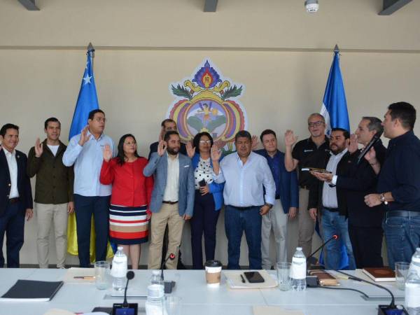 La Junta Directiva celebrará su primera sesión formal para definir la hoja de ruta institucional la proxima semana.