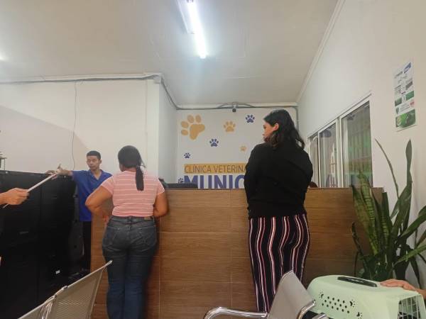 La veterinaria municipal estará cerrada este 18 y 19 de junio por adecuamiento en sus instalaciones, anunciaron autoridades