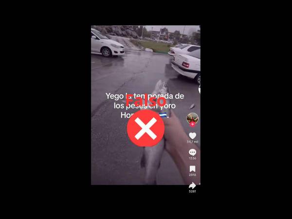 Captura de pantalla a una publicación de TikTok realizada el 22 de mayo de 2024.
