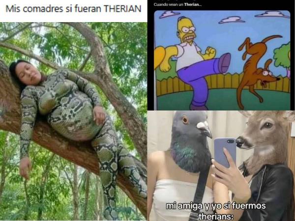 Aunque parezca una locura, lo que empezó como una tendencia discreta terminó convirtiéndose en un fenómeno viral, donde jóvenes han optado por vestirse e incluso actuar como un animal: gatos, perros y más. Los memes no se hicieron esperar. Aquí la recopilación de los mejores en redes sociales: