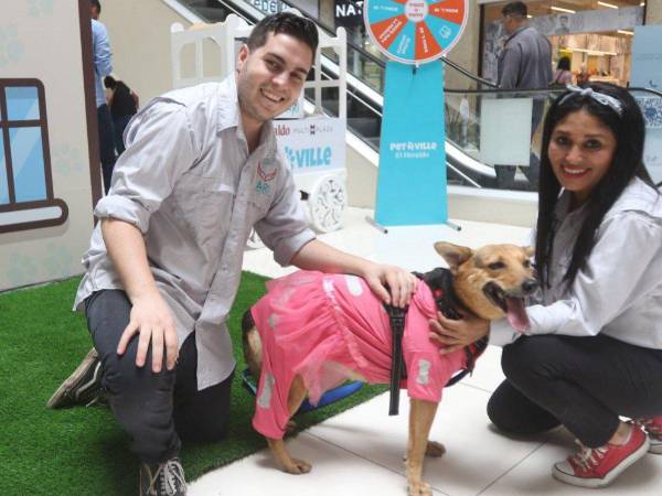 Por tercer año consecutivo las familias capitalinas podrán disfrutar junto a sus peludos amigos en Pet Ville.