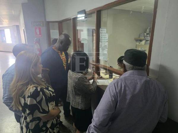 Entre los exdiputados que acudieron se encuentran Carlos Raudales, Osman Danilo Chávez, Juan Barahona, Karen Vanessa Martínez y la propia Silvia Ayala.