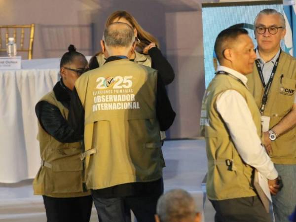 Los observadores electorales estarán diseminados en los 298 municipios del país.