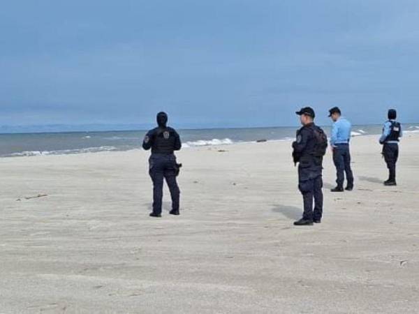 La experta Gabriela Ochoa subraya que los tiburones suelen confundir a las personas en aguas turbias y recomienda precaución.