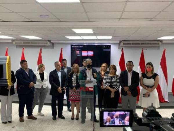 El Consejo Central Ejecutivo propuso socializar a profundidad la nueva Ley del CNDS.