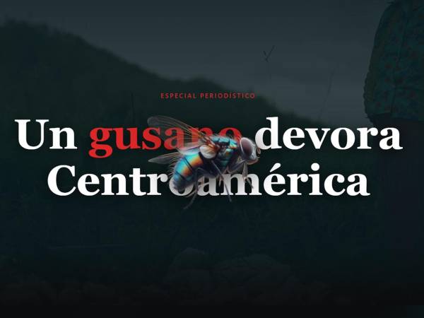Un gusano devora Centroamérica