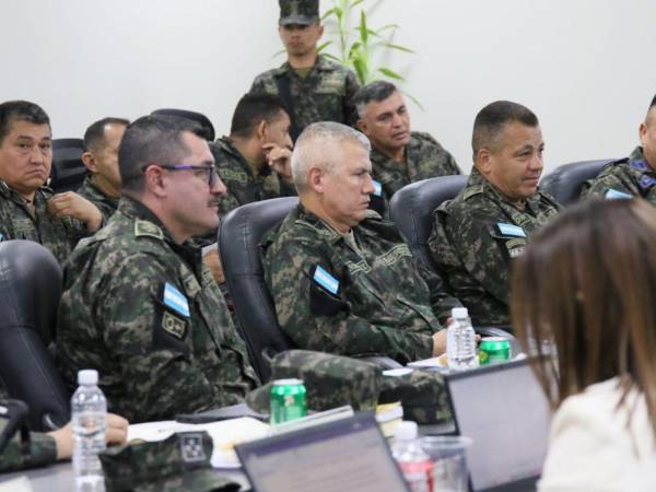 El jefe del Estado Mayor Conjunto (EMC) de las Fuerzas Armadas, Roosevelt Hernández, y su cúpula militar hicieron la petición verbal a la presidenta del Consejo Nacional Electoral (CNE), Ana Paola Hall.