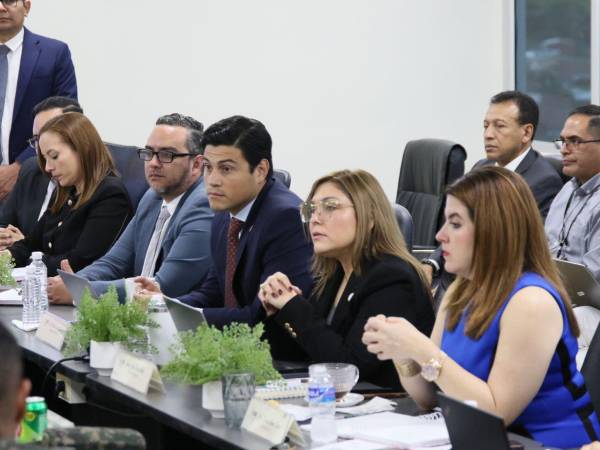 El Consejo Nacional Electoral recordó a las FF AA su rol constitucional de proteger las elecciones.